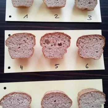 Optimierung der Rezeptur