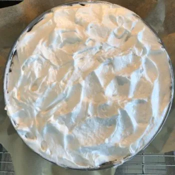 Recipe Plum Cheese Cake capped with Meringue low-carb gluten-free