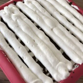 Recipe “Fluffietta“ – Ice Cream from Protein Fluff Egg White Fluff low-carb keto low-cal